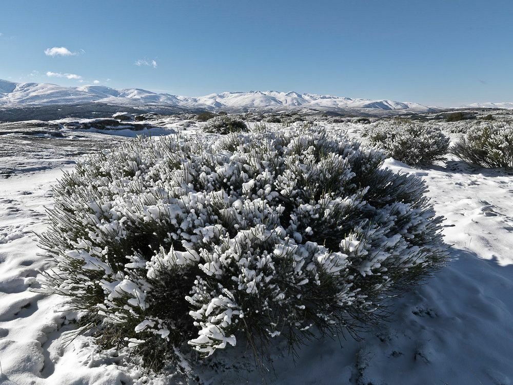 El Cerro - El Cerro I Villa Navarredonda de Gredos Buitenkant foto